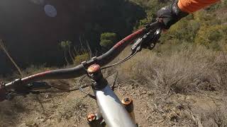 Smash Face trail holly foook