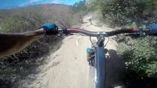 Riding with deer,shadow and humans