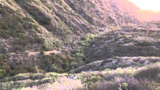 IMG 31601