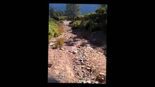 LONELY TRAIL