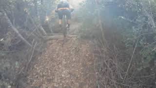 dan rolling