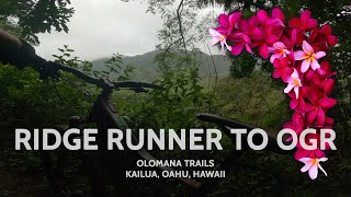 Bushwacking through a jungle run along...