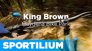 King Brown  \\  Maydena Bike Park