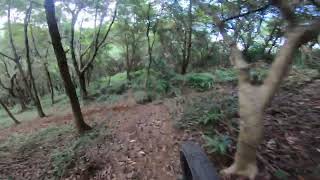 Mu'd Line _ downhill _ YETOPIA