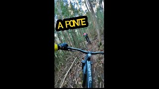  NUEVA TRIALERA A PONTE EN LA FRACHA  | ...