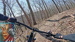 MTB To The Max (Until You Get Bucked)