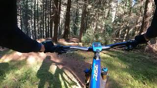 Bedollo Trail - Tornantini Brusago