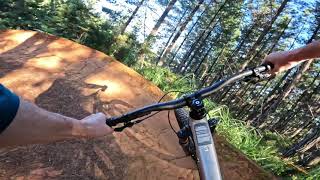 Pink Stoat @ 440 MTB Park