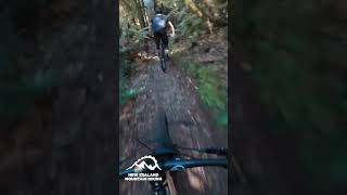 Te Ahi Manawa with Ali from Zerode Bikes...