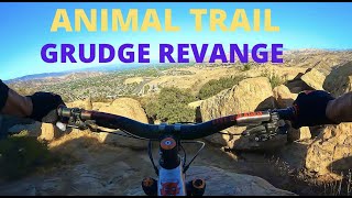 Grudge Revenge