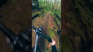 Gnarliest Way Down The Mountain!!