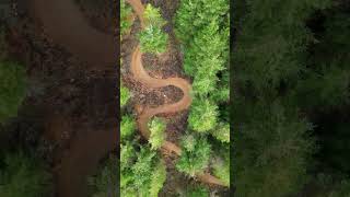 Have you ever seen an MTB trail like this?...