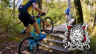 Pisgah Mountain Bike Stage Race - Stage 2...