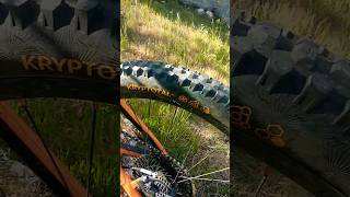 Dreams MTB ▶️ #mtb #mountainbike...