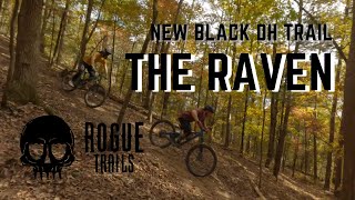 FPV DRONE ONE SHOT | New Black Diamond DH...