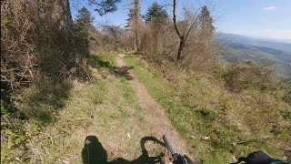Asino Che Vola + Maschio - Monte Morello