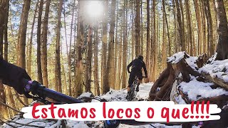 Canfranc Invernal/Los mejores bosques...