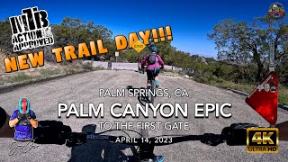 MTB Riding The Palm Canyon EpicPart 1 | Palm...