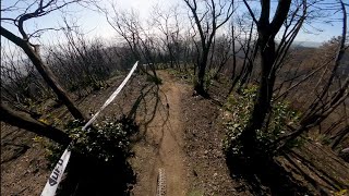 Pico - Massarosa