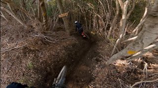 Rozzo + Cinghiale - Montecalvi Enduro Area