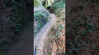 Canyon - Massa Marittima 