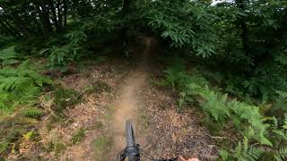 Grappa - Garfagnana Bike
