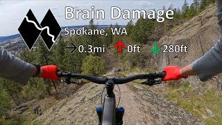 Brain Damage - Beacon Hill - Spokane, WA