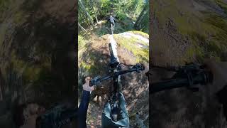 Huge New Sponsorship!! #mtb #bike #forest...