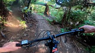Trapdoor @ Kaiteriteri MTB Park