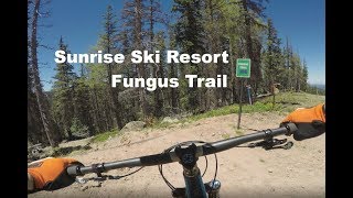 sunrise ski resort mountain biking