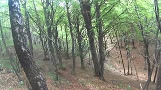 MTB 2 MANI FLOW