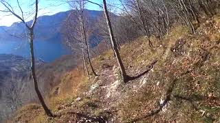 MTB DH Cainallo Ortanella