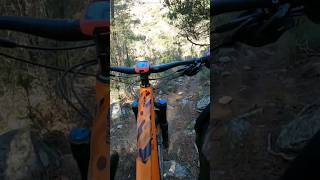 Vertical and technical trail  #shorts #mtb...