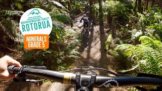 Party Trains on Minerals - Rotorua Mountain...