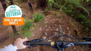 A trail that always delivers! Kung Fu Walrus -...