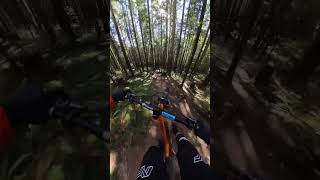 Amazing local jumps!