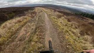 Kielder MTB:  Skellys Riggin 15 04 23