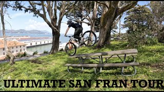 SEA OTTER IS HERE