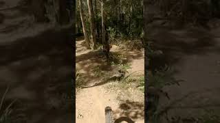 Scary gaps #shorts #mountainbike #mtb...
