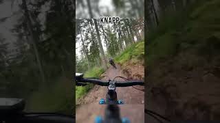 Shredding Trailpark Rabenberg on my E Bike!