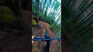 Insanely Fun Trail! Who Know's It?!