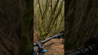 DOWNHILL TRACKS IN SOUTH WALES #cycling #ebike...