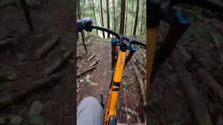 Race training lap down Upper Wutang
