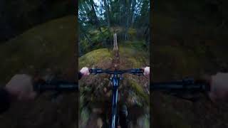 Chunky Singletrack!