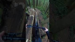 Sketchy Old Stunts!