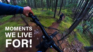 The Flow of Secret Trails With Friends