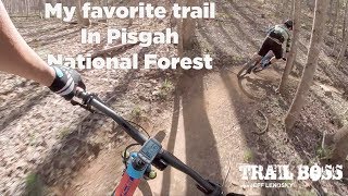 Is this my new favorite trail in Pisgah?? ...