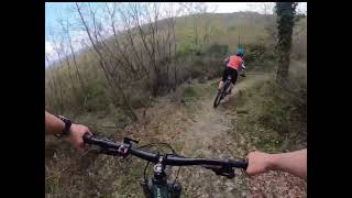 Trail area Monte Pimpio- istrice flowtrail