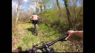 upupa uphill trail