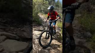 Freewheel